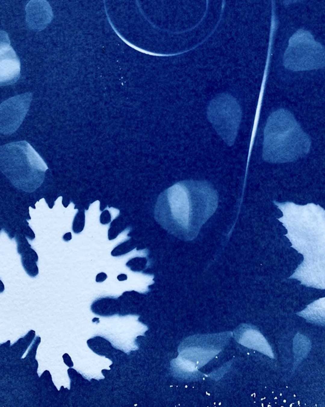 Gardensia2026_cianotipia_02