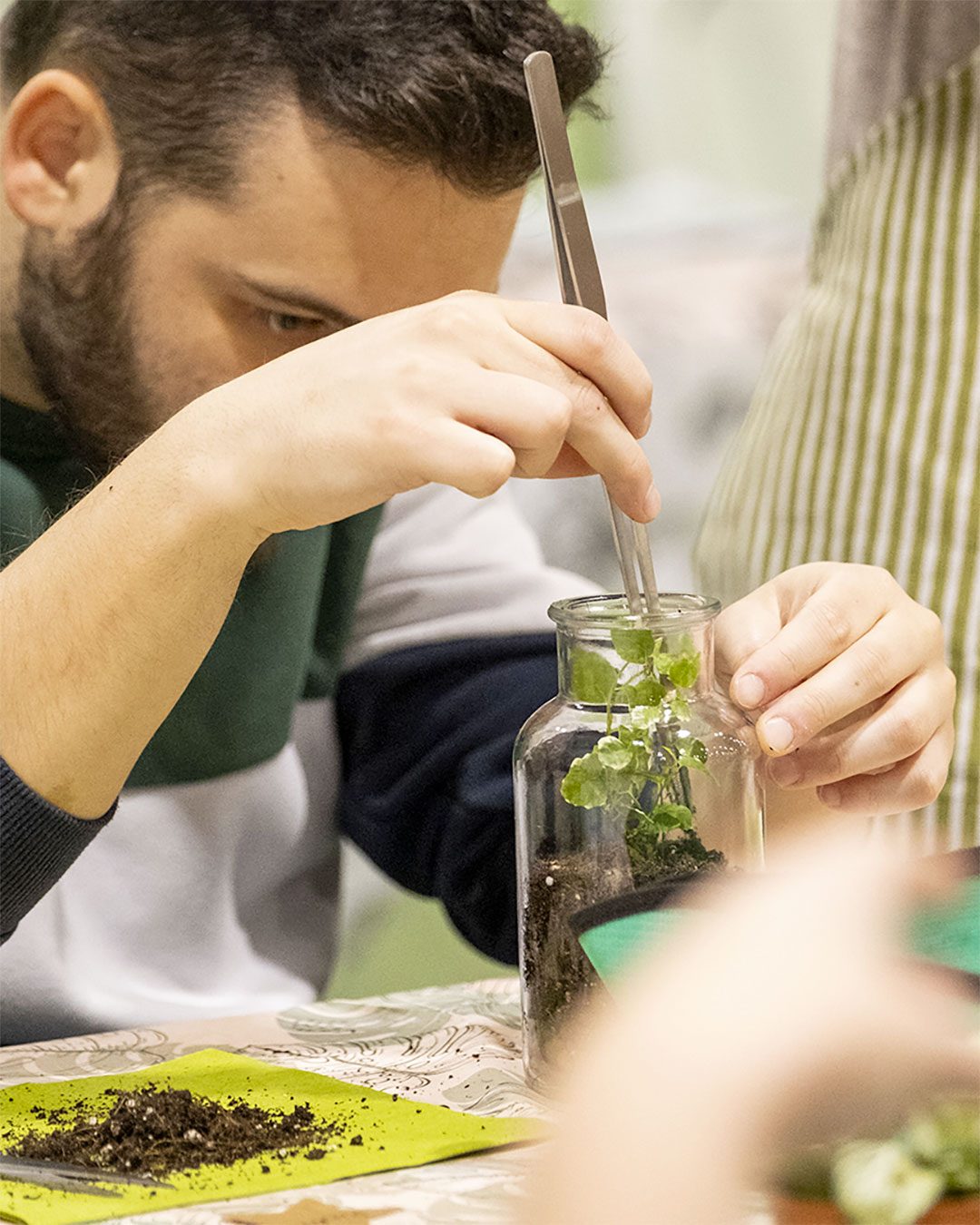 Gardensia_Terrarium_01