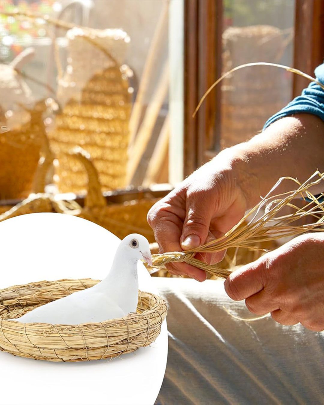 Gardensia_intreccio_01