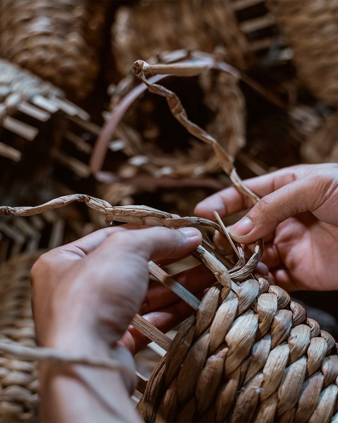 Gardensia_intreccio_03