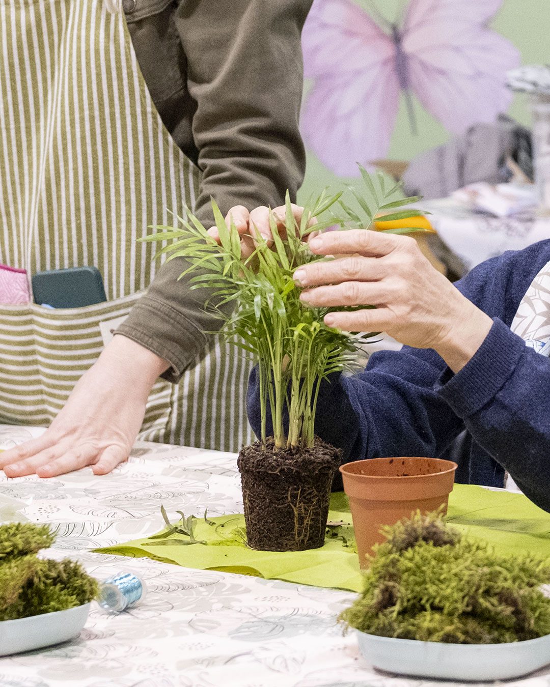 Tavola-da-disegno-7CorsoBonsai