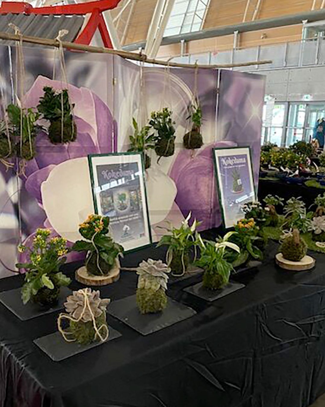 kokedama-gardensia.01