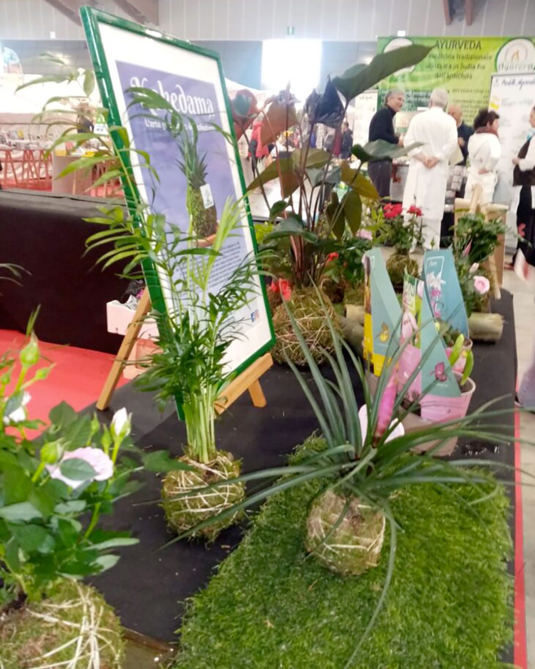 kokedama-gardensia.04